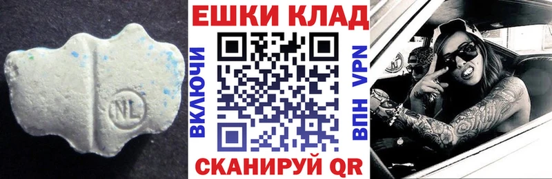 Ecstasy диски  Купить где  Тара 