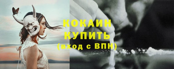 прущие крисы Заводоуковск