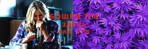 молекула духа Зеленокумск